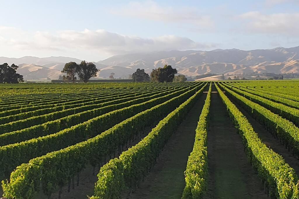Luxury Cottage With Stunning Vineyard Views Renwick ภายนอก รูปภาพ