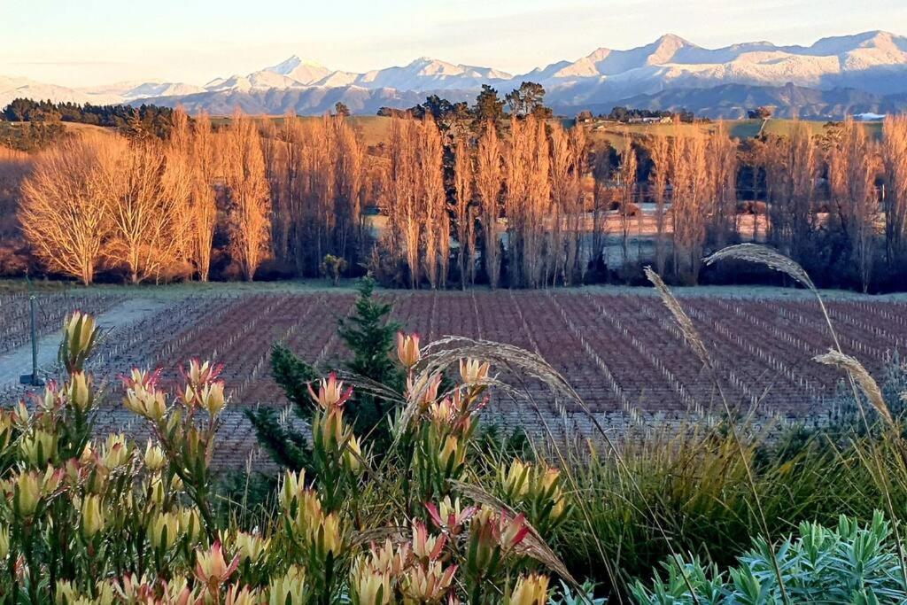 Luxury Cottage With Stunning Vineyard Views Renwick ภายนอก รูปภาพ